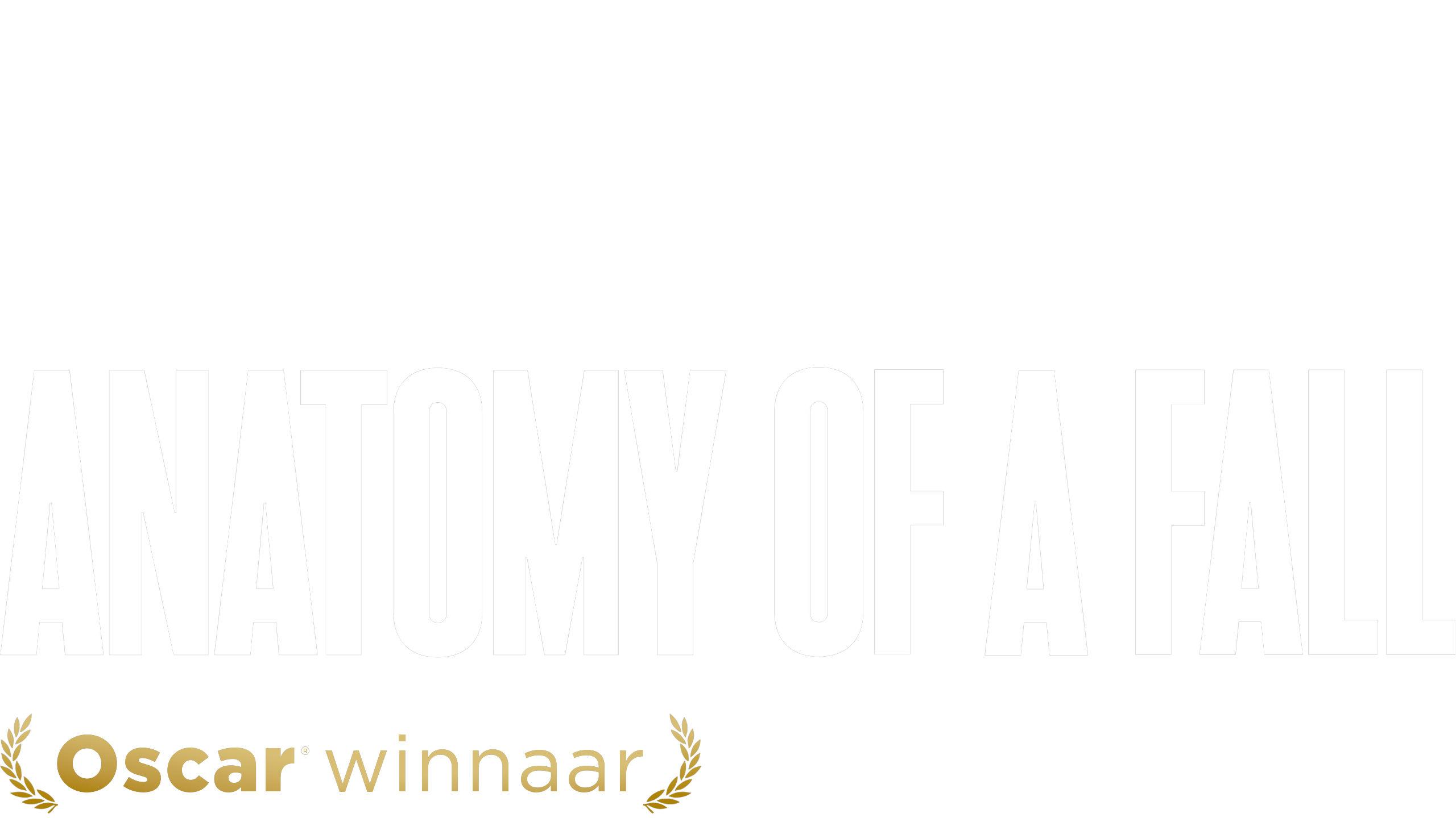 Anatomy Of A Fall