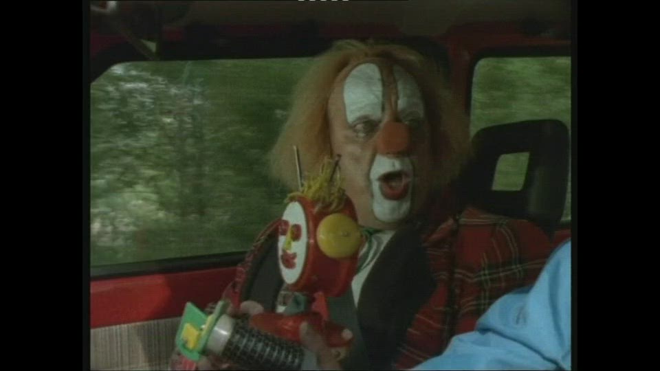 Bedrogen Door Bedriegers