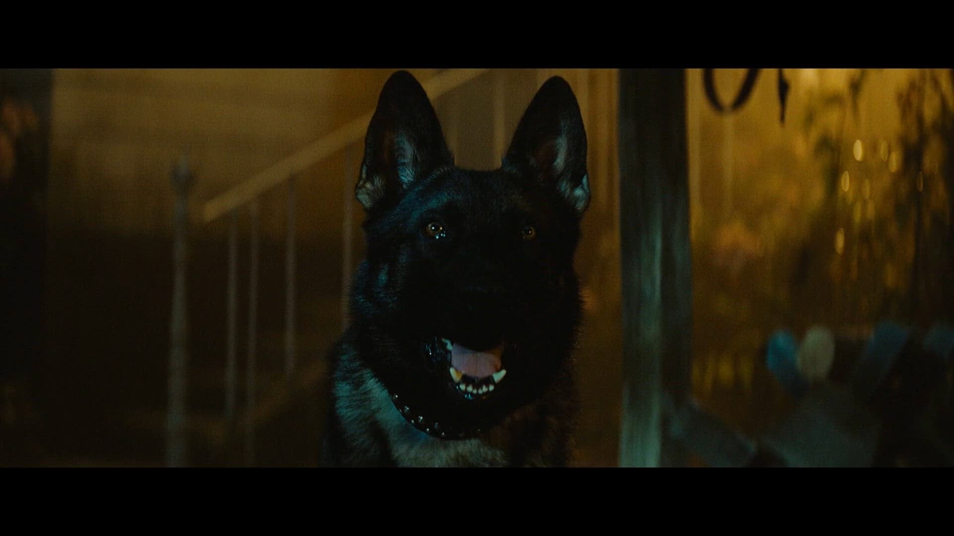Trailer: Malavita