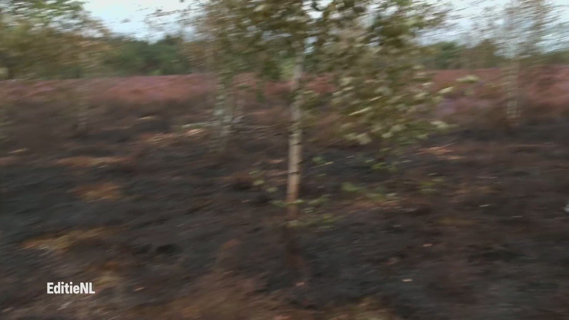 Aflevering 247