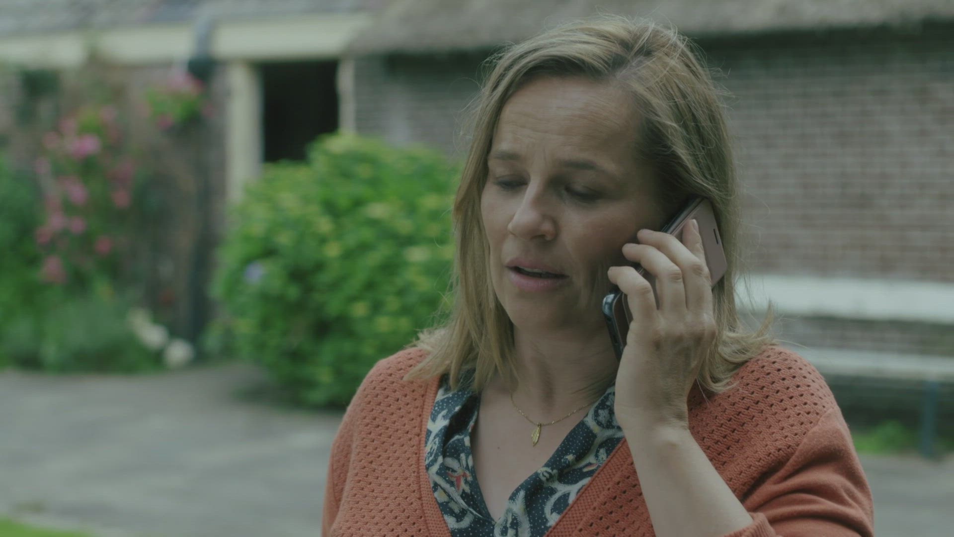 Wilde Bloemen En Kasplantjes