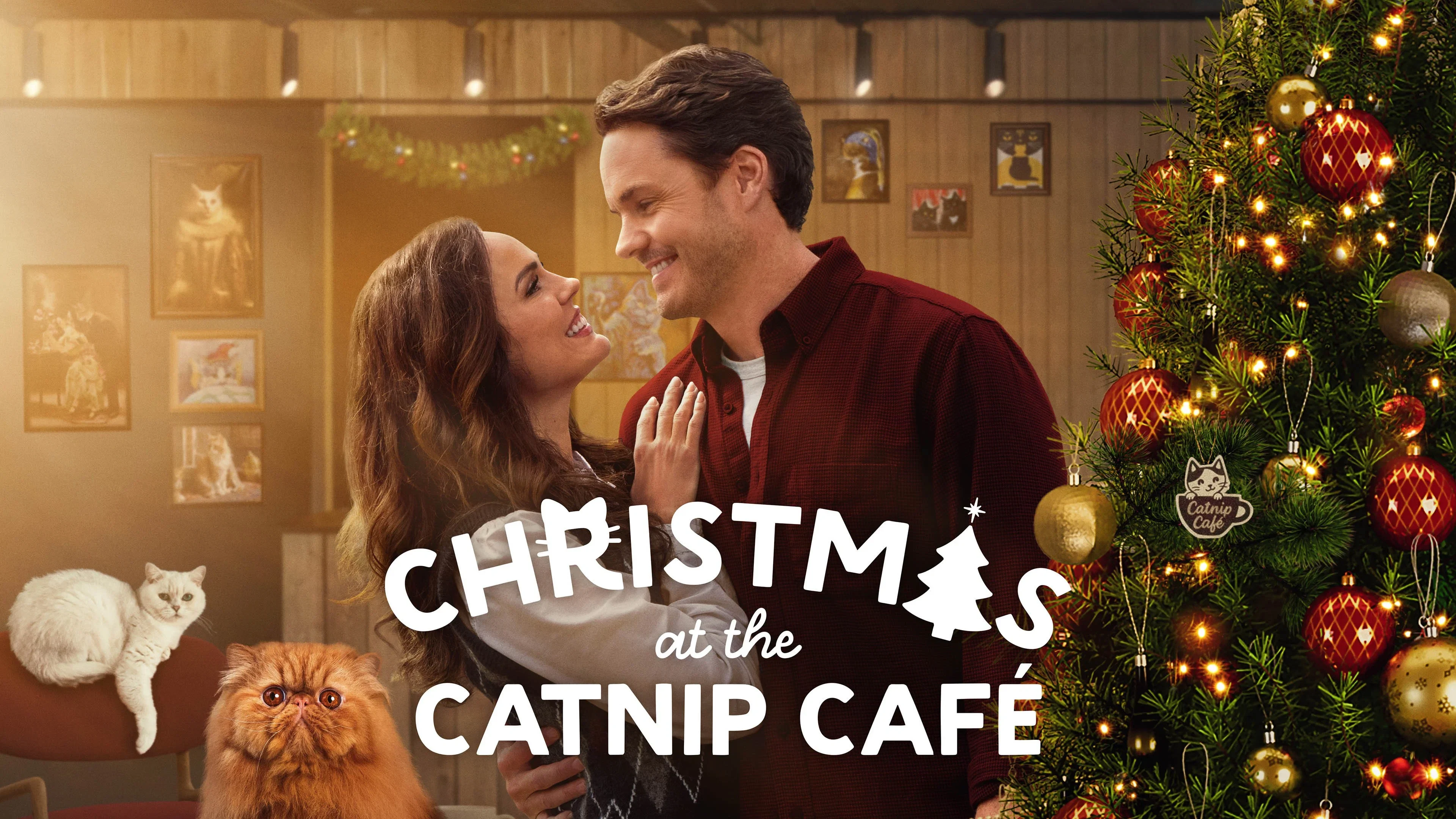 Christmas At The Catnip Café