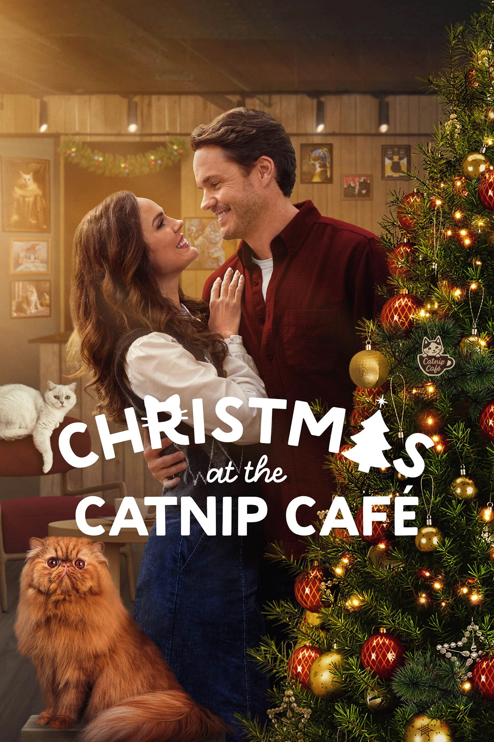 Christmas At The Catnip Café