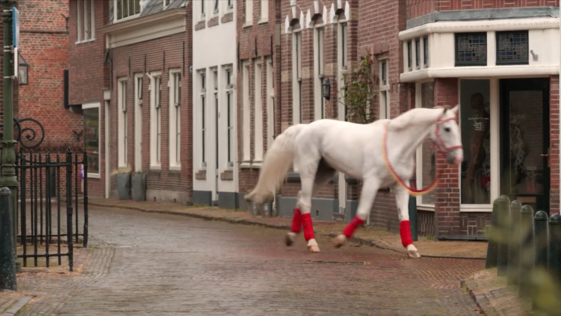 Het Lintje