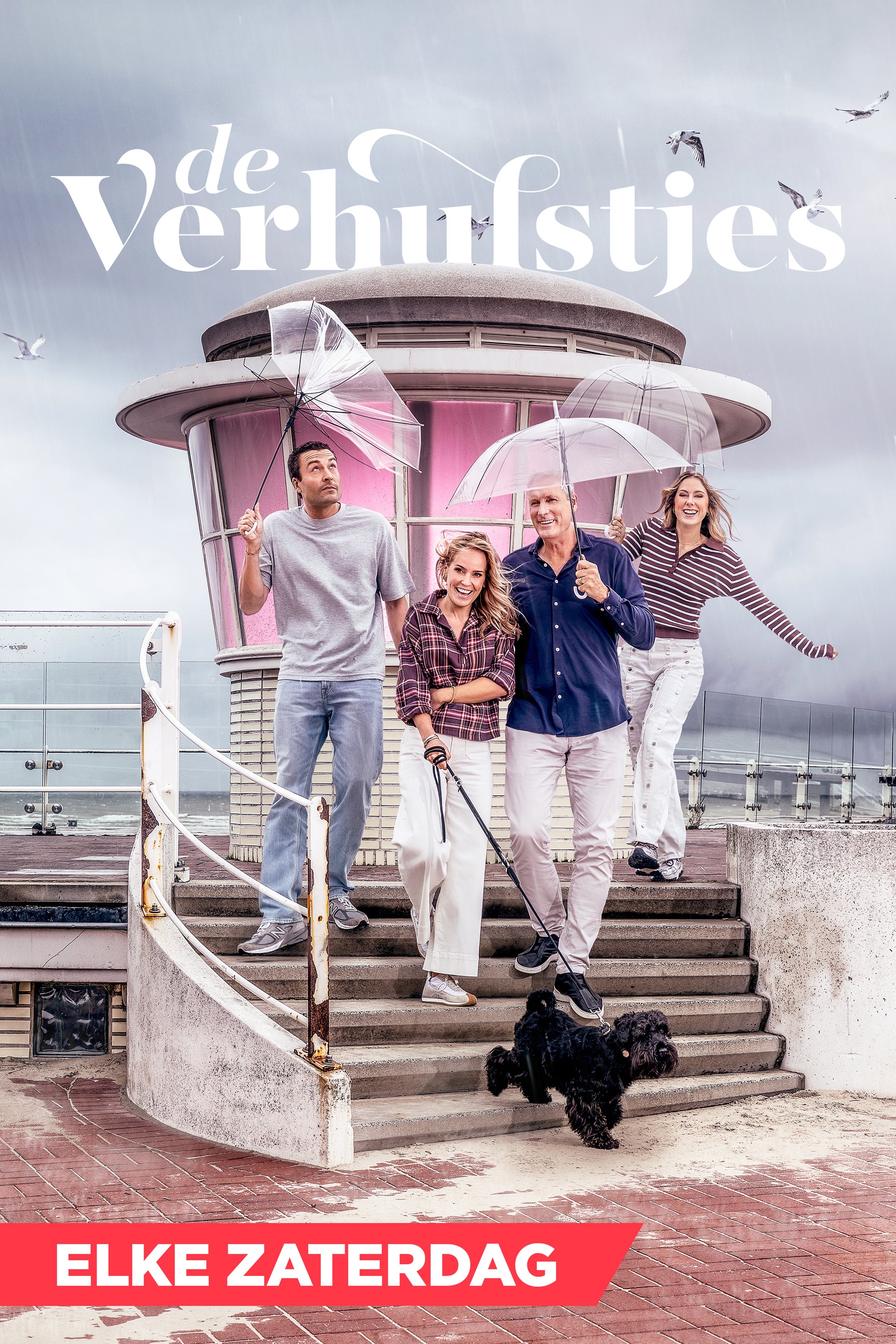 De Verhulstjes