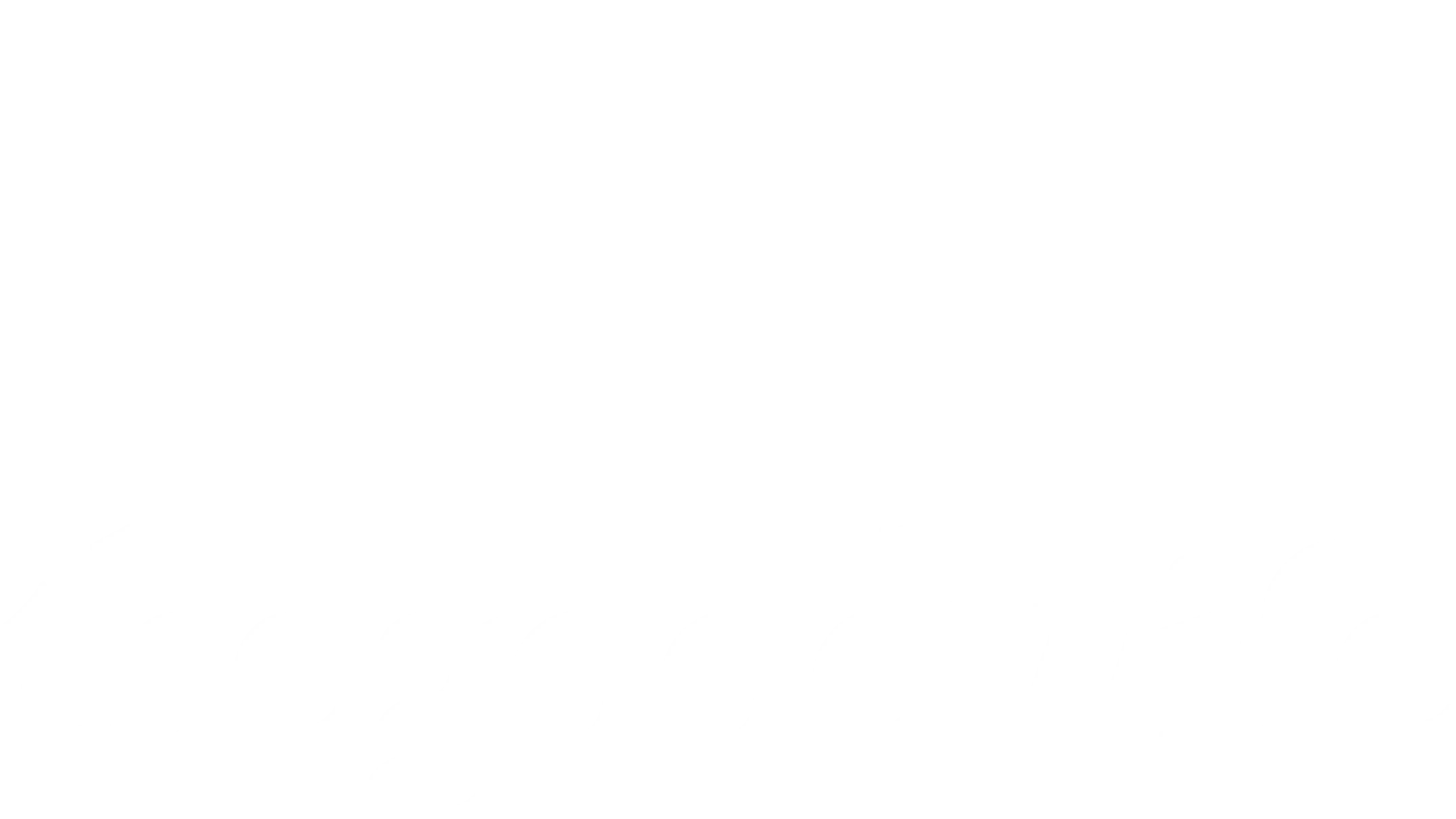 The Good Wife