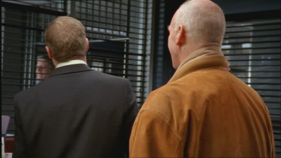 Er Staat Een Paard In De Gang