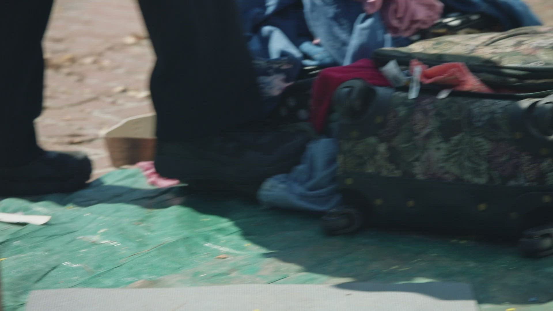 Warriors and Guardians