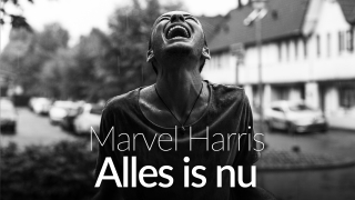 Marvel Harris: Alles is Nu